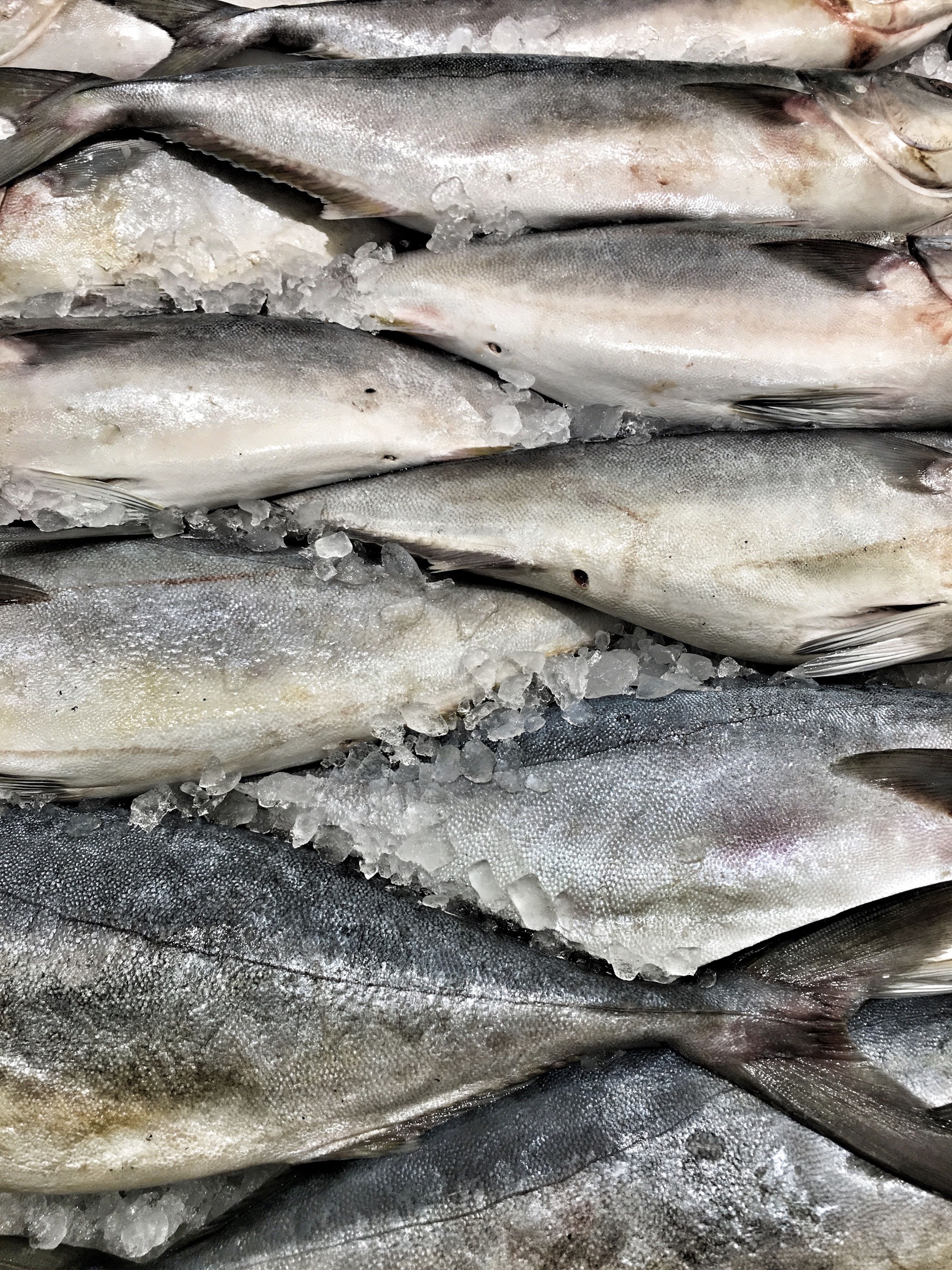 Whole mackerel displayed on ice at a seafood market